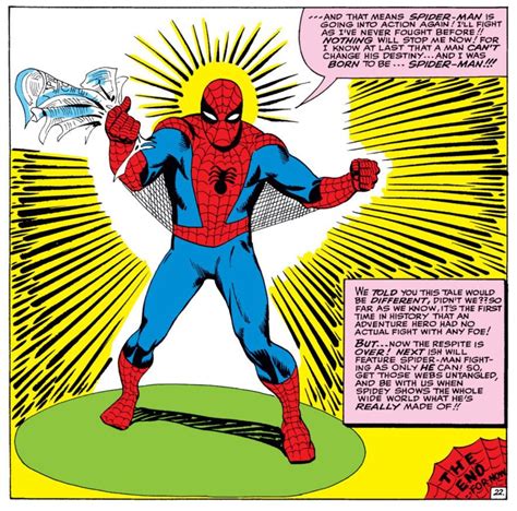 steve ditko net worth|steve ditko spider man art.